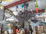 DSC00250.JPG