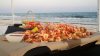 GBC - Shrimp.jpg