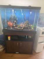 aquarium and stand.jpg