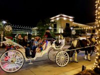 Family Enjoying Carriage Ride 2018.jpg