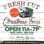 ohana-christmas-2021-tree-HOURS-IG-1083X.jpg