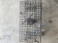 934F0365-FF21-4F19-AAF3-D8ACDDC17BBE.jpeg