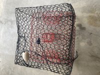 D62E6D3B-FECF-43CA-BCC6-1120AC6E528D.jpeg