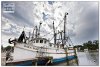 110328-apalach-048.jpg 110328-apalach-048.jpg