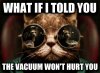 what-if-i-told-you-the-vacuum-wont-hurt-you-Matrix-Morpheus-cat-meme.jpg