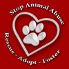 redwithheartstopanimalabusedec2011.jpg