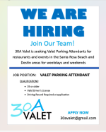 valet flyer picture.png