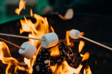 fire-pit-roasting-marshmallows.png