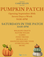 pumpkin patch poster.png