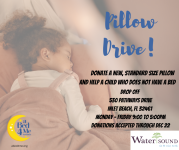 Watersound Pillow Drive Graphic.png