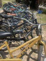IMG_2845.jpeg