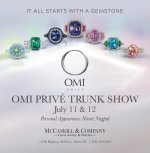 OMI event July 11-12.jpg