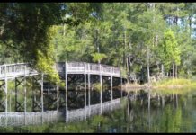 Lagoon Bridge.jpg