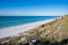 251031-seagrove-012-sowal-2000.jpg