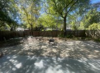IMG_8481.jpeg