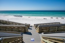 260313-seagrove-013-sowal-2000.jpg