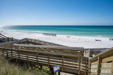 260313-seagrove-012-sowal-2000.jpg