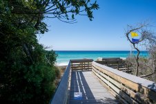 260313-seagrove-011-sowal-2000.jpg