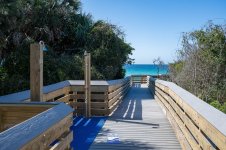 260313-seagrove-005-sowal-2000.jpg