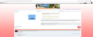 beachweddingsdestin-org-wayback.jpg