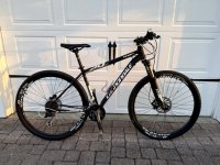 IMG_1196 Medium.jpeg