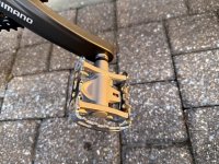 IMG_1202 Medium.jpeg