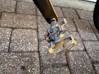 IMG_1203 Medium.jpeg