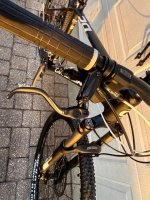IMG_1206 Medium.jpeg
