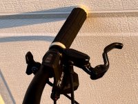 IMG_1208 Medium.jpeg