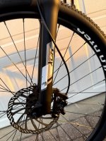 IMG_1209 Medium.jpeg