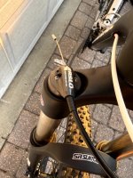 IMG_1214 Medium.jpeg