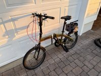 IMG_1218 Medium.jpeg