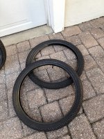 IMG_1219 Medium.jpeg