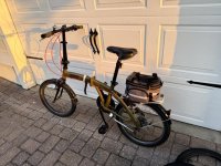 IMG_1220 Medium.jpeg