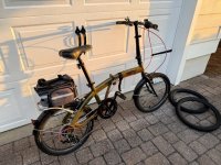 IMG_1222 Medium.jpeg