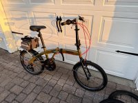 IMG_1223 Medium.jpeg