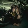 Thread Monkey