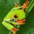 summerfrog