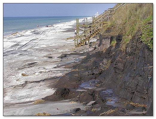 Beaches of South Walton Photograph