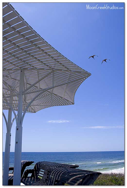 Beaches of South Walton Photograph