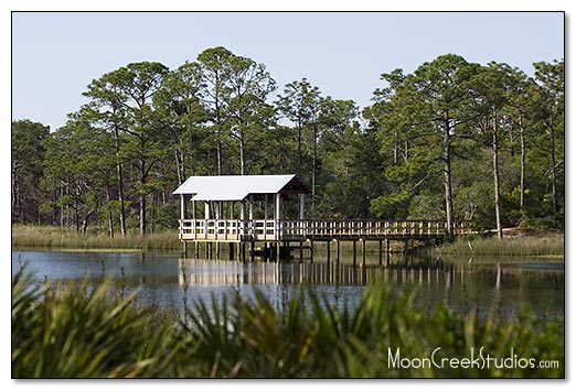 Beaches of South Walton Photograph