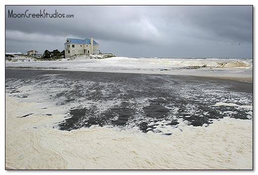 Beaches of South Walton Photograph