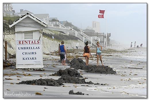 Beaches of South Walton Photograph