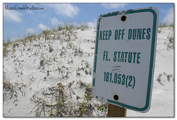 Beaches of South Walton Photograph