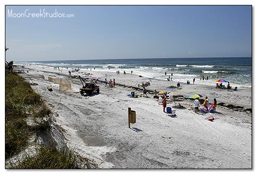 Beaches of South Walton Photograph