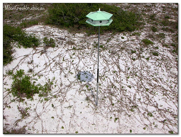 Beaches of South Walton Photograph