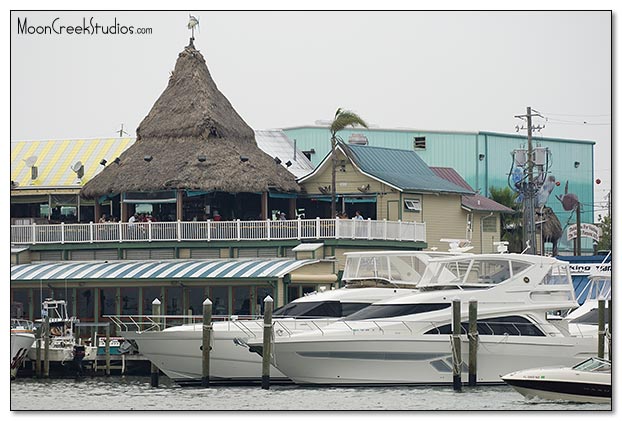 Beaches of South Walton Photograph