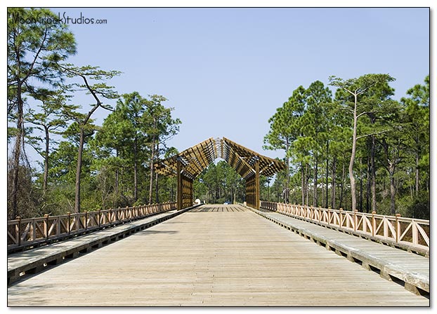 Beaches of South Walton Photograph