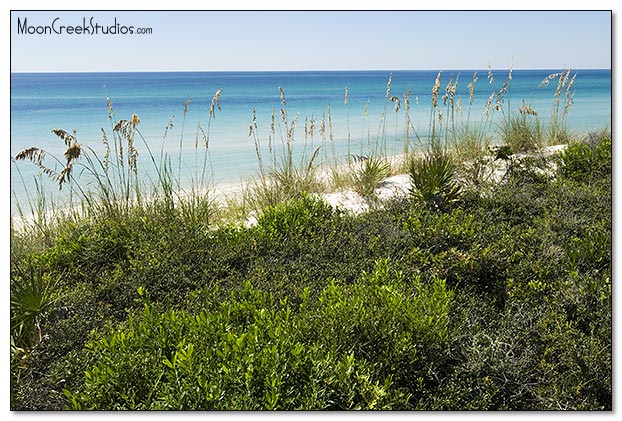 Beaches of South Walton Photograph