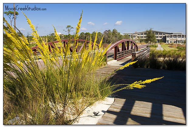 Beaches of South Walton Photograph